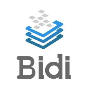 bidi